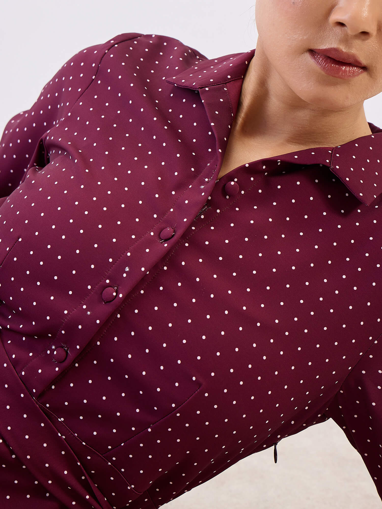 Nico Shirt Collar Fit & Flare Dress-Wine