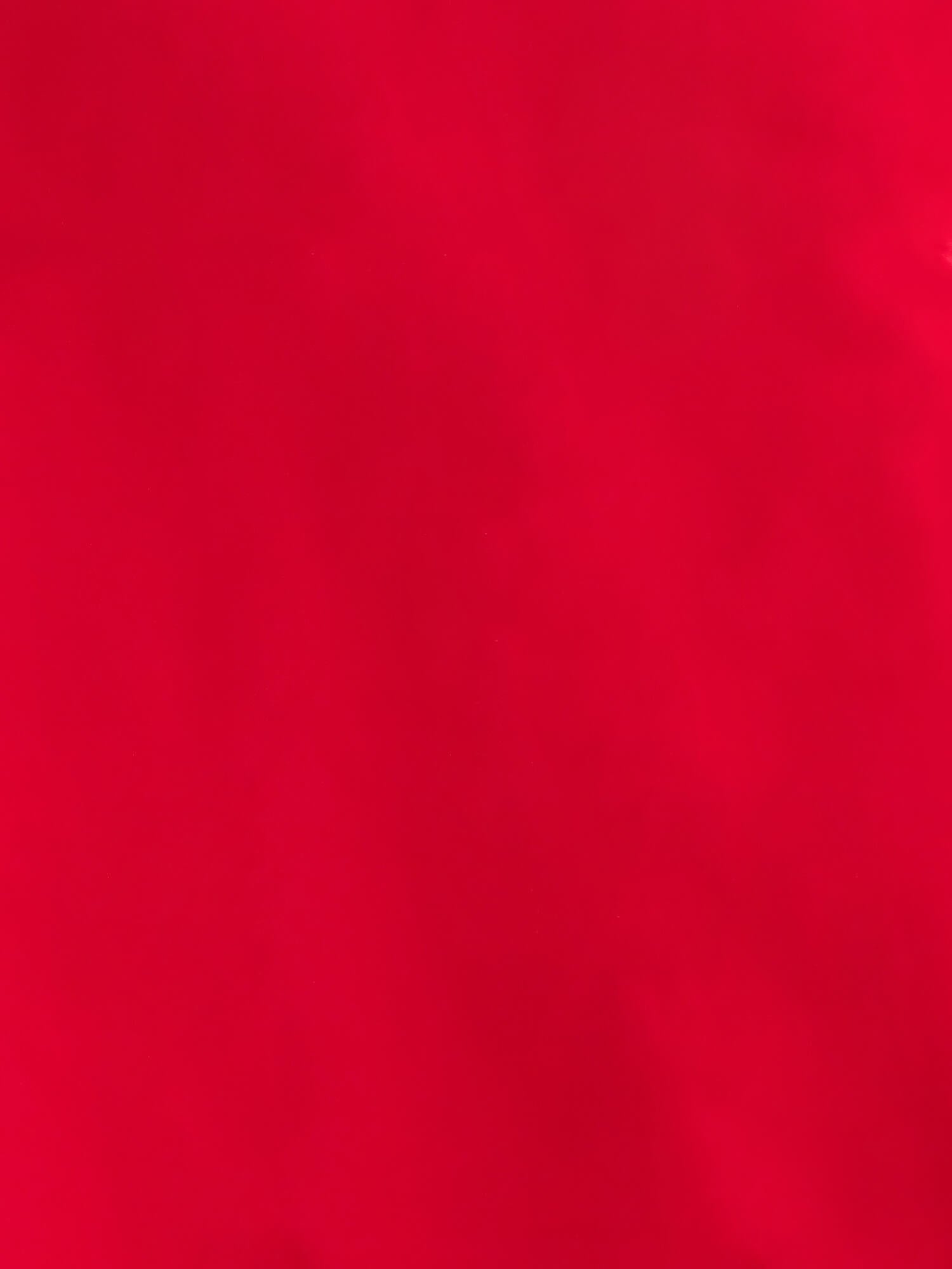 Desire Ruffled Neckline Sleeveless Top - Red