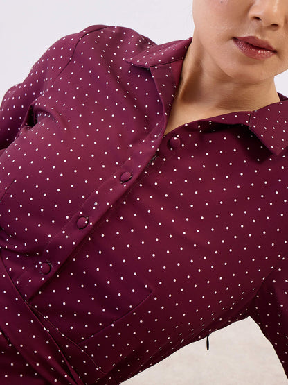 Nico Shirt Collar Fit &amp; Flare Dress-Wine